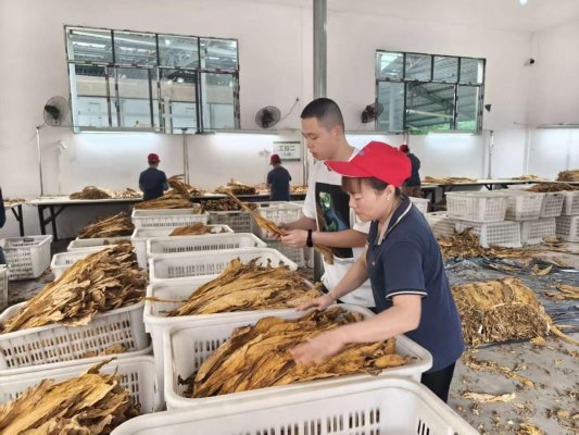 8ab7cf44940921757332987efd6f58fd