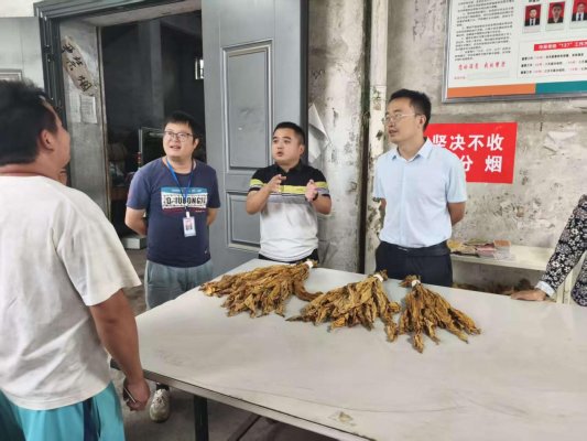 d47ba6982a2649ba4f31415dcde5a8df