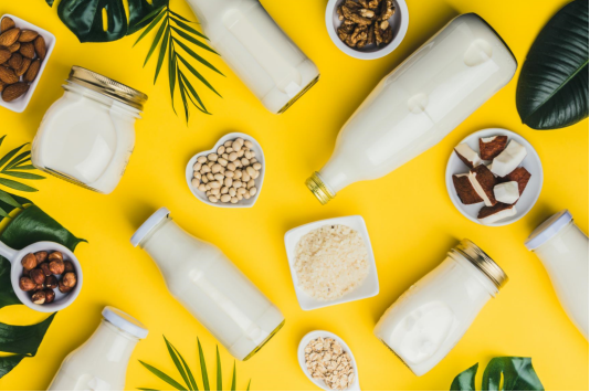 健身达人的蛋白新宠:赋能肌肉,更赋能地球