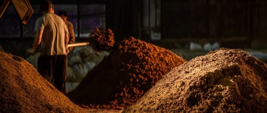 吡嗪:藏于酱香白酒里的香气与品质密码