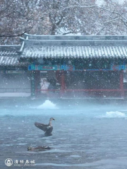 f2d0203743f82374b30d71855c78e410