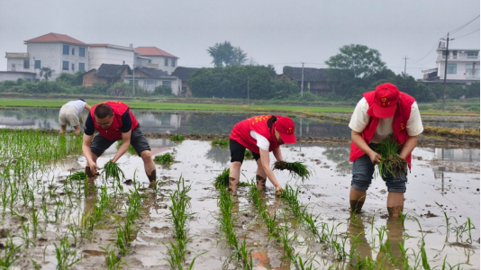 5d3f6c781e4e46e3b45403e6ef2971d3