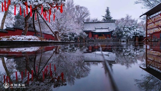 cf21ece6237d739c9f1620441bbf8954