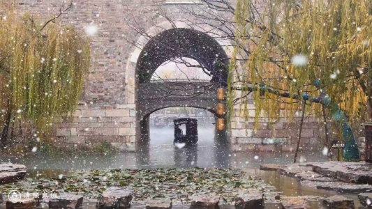 d57db3c15bd2e01beda18701aea40d45