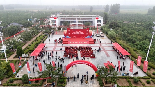 粮满仓 好丰光|鲁西沃野丰收图鉴