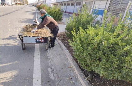 37b46a3b3aaa867553eb7a81a48dd24