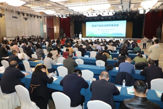 “必由之路”的“潍坊之解”