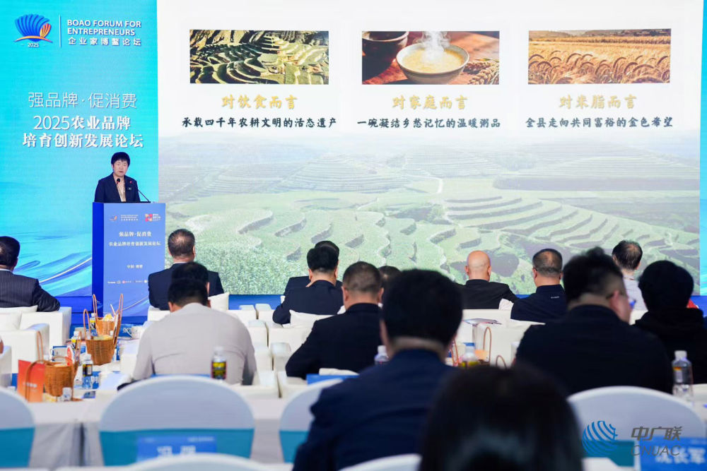 米脂小米:全产业链激活品牌价值 书写乡村振兴 “金色答卷”