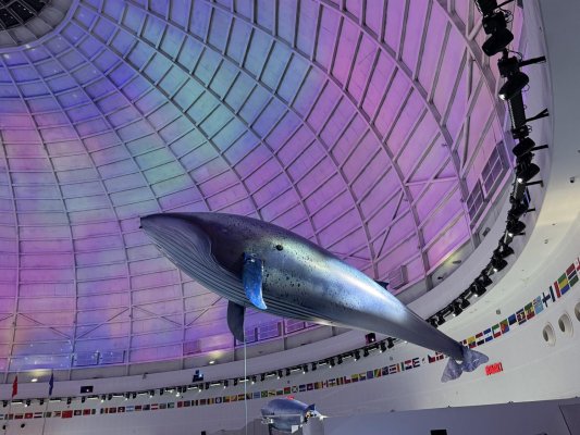 73D91BE5BD776719F4C02E7AF9AF4172