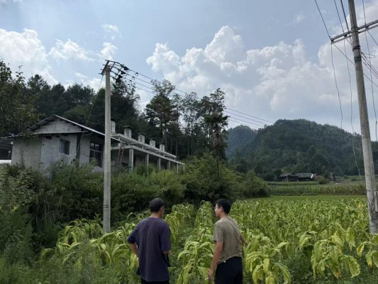 金叶生辉映初心 担当实干促振兴——桑植烟草年度工作纪实