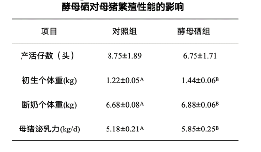 912d8a5771db2ab3273c9480dc3ec295