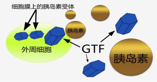 e1c9012a47dbfca46f10a15732bd63fe