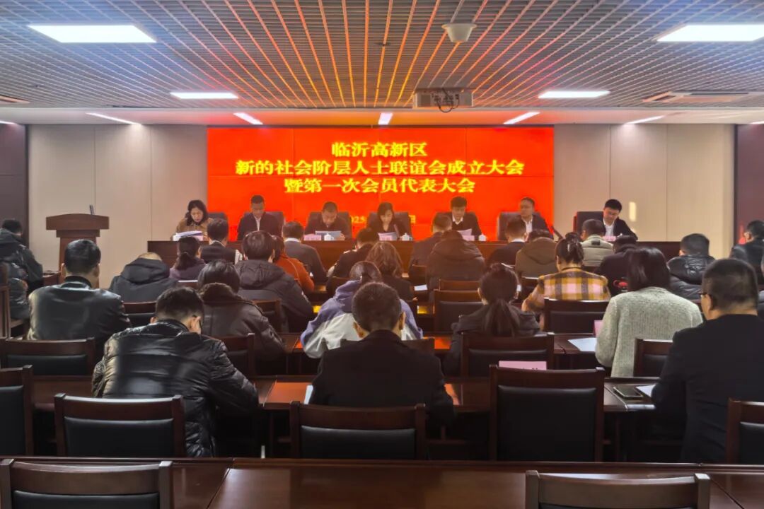 临沂高新区召开新的社会阶层人士联谊会成立大会