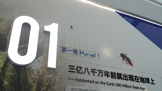 从本草到临床,康复新液带你梳理美洲大蠊的药用传承