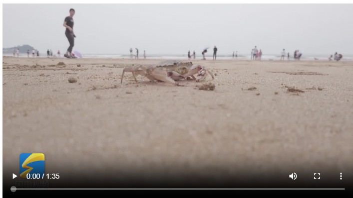 青春华章 向海图强|蟹壳里的大产业:变废为宝,山东用蟹壳打造产业高端局