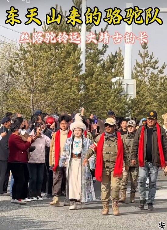 新疆中驼《东天山来的骆驼队》100天丝路行纪实