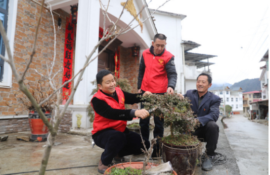 咸丰县局:以绿焕生机 以绿可持续