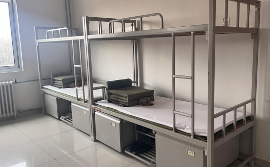 济南市莱芜区凤城街道开展“军地共建强党性 学习军魂砺作风”活动