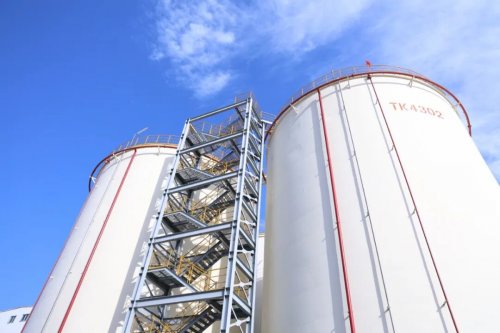 “食用油”是怎么生产出来的?杭州启动跨市入企实训活动