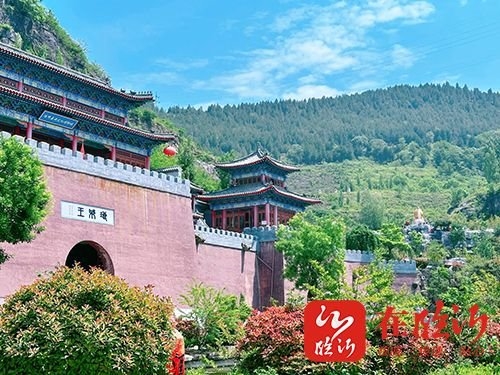 蒙阴县坦埠镇:林权改革激活绿色发展动能