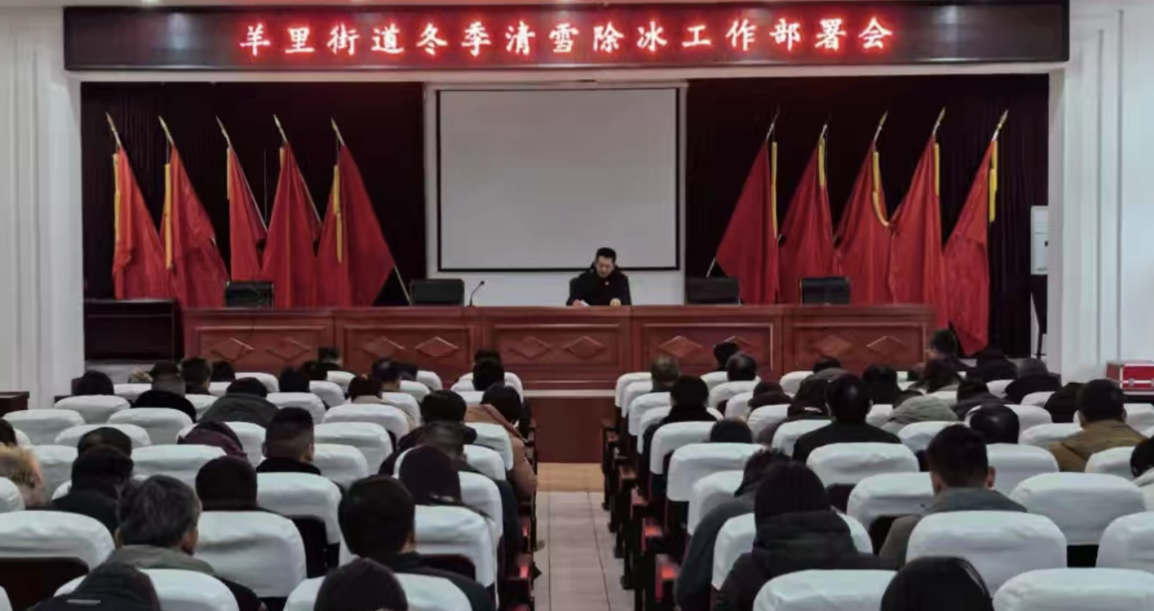 【社会主义价值观“五个融入”】济南市莱芜区羊里街道:雪落羊里暖人心 干群同心扫雪忙