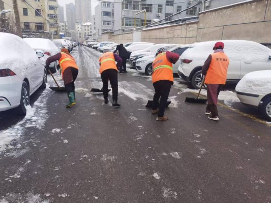 【我为群众办实事】济南市莱芜区凤城街道芳馨园社区:雪中清路 心中铭史