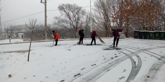 济南市莱芜区雪野街道:雪落雪野暖人心 齐心协力除雪忙