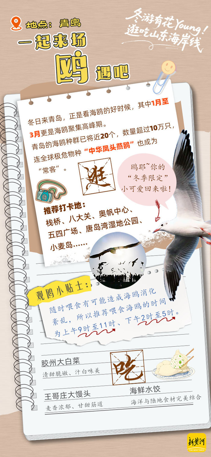冬游齐鲁新花young!领取你的山东海岸线逛吃手账 | 青春华章 向海图强