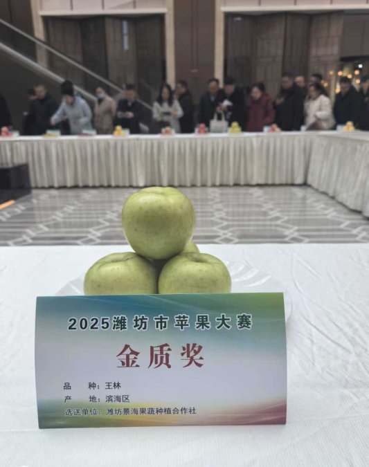 微信图片_20251216153618_310_6