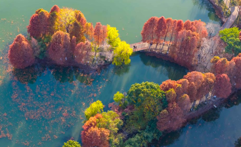 缤纷冬日景如画