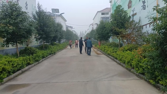 中国银行菏泽分行:党建领航优环境,驻村干部绘新卷