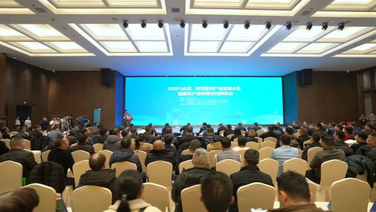 2025菏泽蛋鸡产业发展大会召开 推动蛋鸡全产业链协同创新与高质量发展