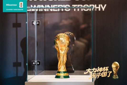 1313f0a3c961ecc53f1339b3b1d1dbc5_