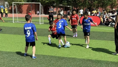 b6f037205c9f8b5573d9beac484d9b4e