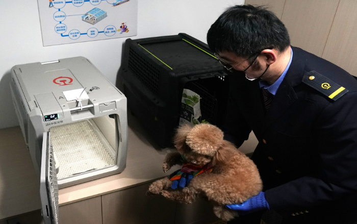 2025年4月10日,在北京南站,工作人员将宠物狗放入高铁专用宠物运输箱。 新华社记者 张晨霖 摄