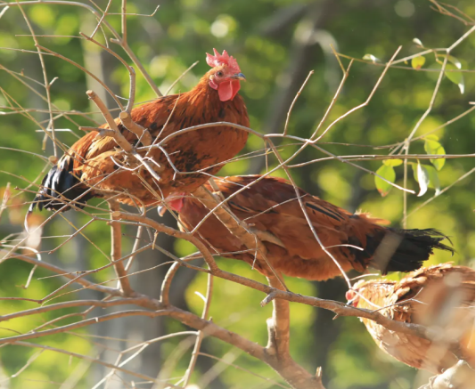 4592820e1f6a90875dab95bb27f49b5