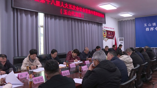 临沭县人大代表会前集中视察走进玉山镇