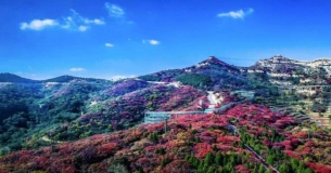 lQDPKH9-WCMM-f_NA2PNBJuwowW9WCmXvkUJFlFuqsW5AA_1179_867