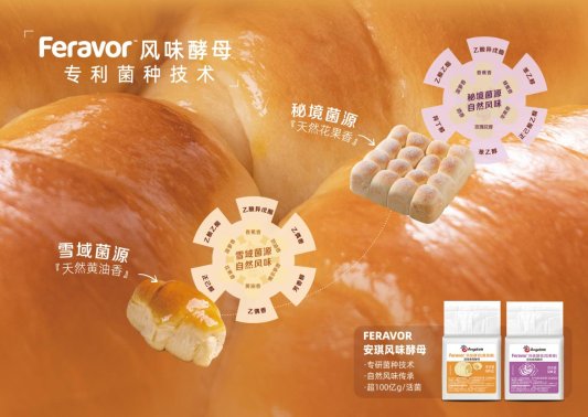 预制面种杂志配图2