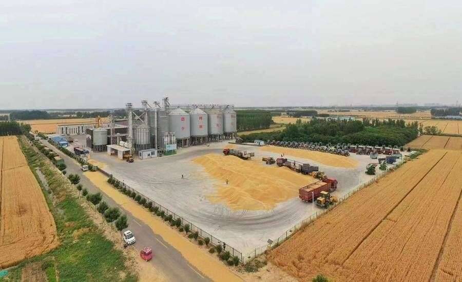 闪电评论|执“三农”妙笔 绘齐鲁现代化华章