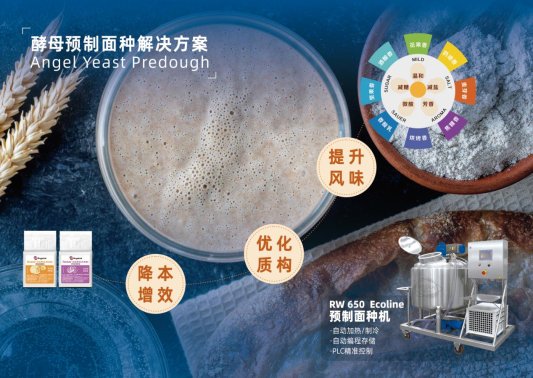 预制面种杂志配图3