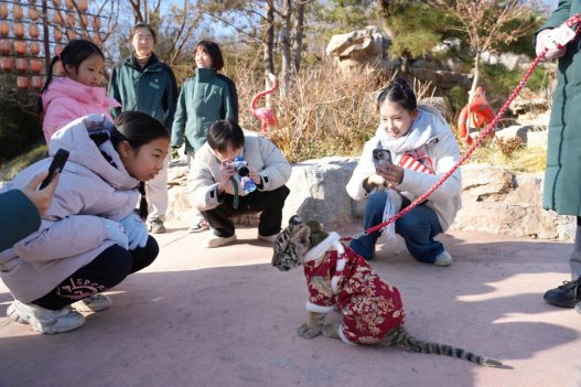 C:/Users/86132/Desktop/新建文件夹/微信图片_20260101160949_495_90.jpg微信图片_20260101160949_495_90