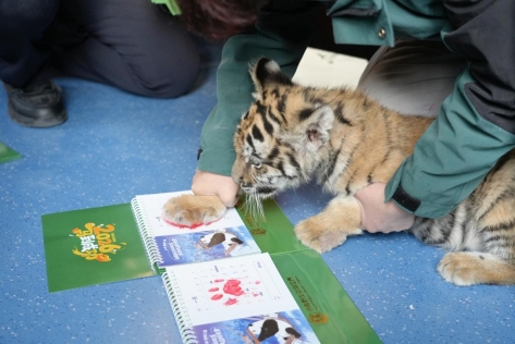 C:/Users/86132/Desktop/新建文件夹/微信图片_20260101160943_493_90.jpg微信图片_20260101160943_493_90