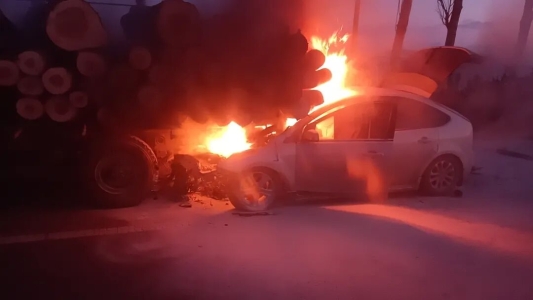 临危不惧伸援手 公交司机显担当