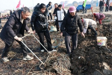 D:WeChat Fileswxid_j3a7dmejue4x11FileStorageTemp53d5d369e5d5ebb147f1325000c4816.jpg