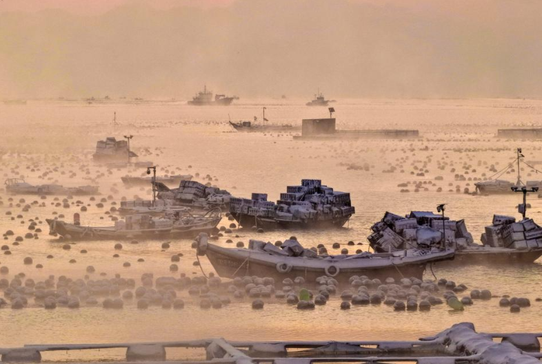 山东荣成:雪后海湾出现“海浩”景观