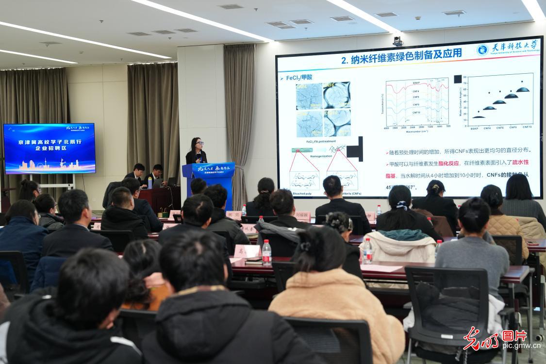 【职引未来】聚合力搭平台送岗位 暖心服务助青年梦想启航