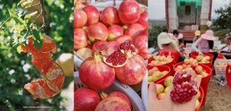 微信图片_20251120104309