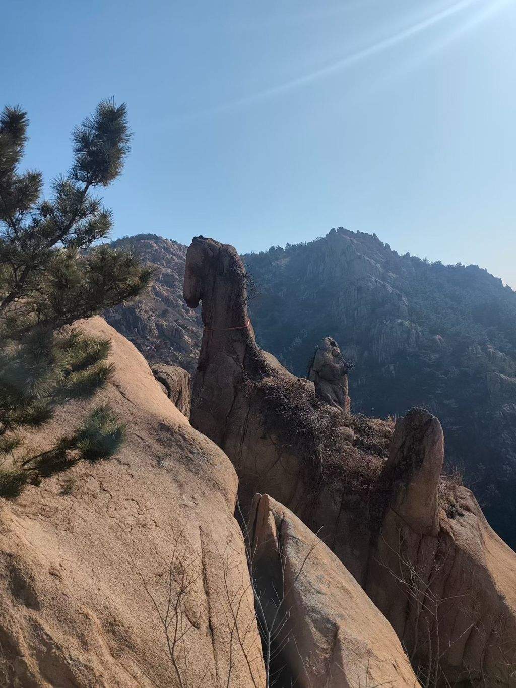 青岛大珠山“骏马奇石”借马年走红 游客打卡沾喜气