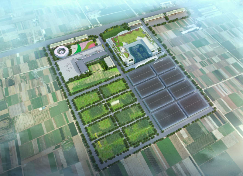 农发行平邑县支行:信贷支农结硕果 服务振兴谱新篇